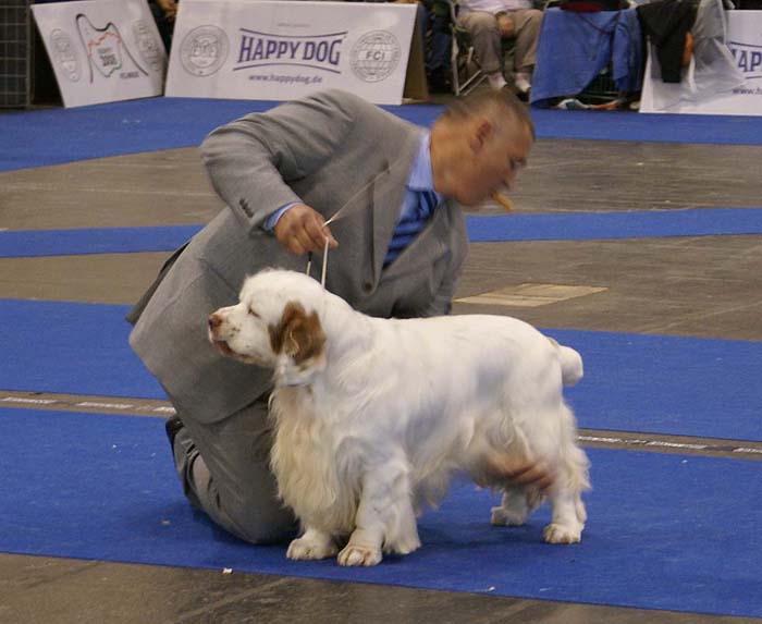 ClubShow_ClussexxOverTheBond