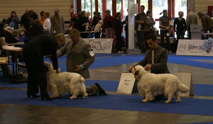 ClubShow_ClussexxOverTheBond_DonsBricInTheWall