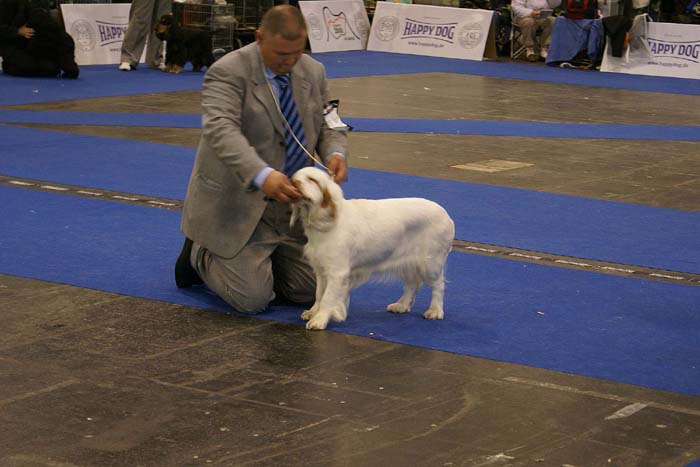 ClubShow_Clussexx_BeDelicious