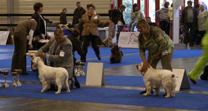 ClubShow_Clussexx_BeDelicious_ShogunsBoobADoopGirl