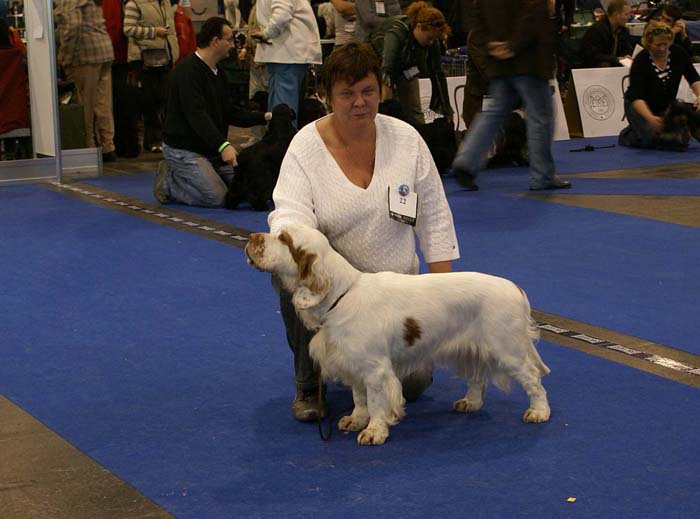 ClubShow_Dewy_Eyed_of_the_Sandy_Soil