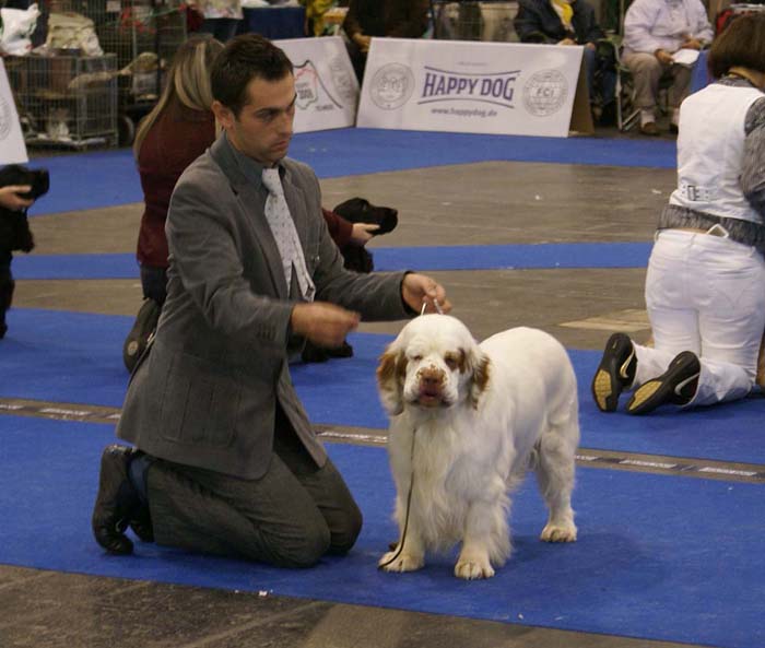 ClubShow_DonsBricInTheWall