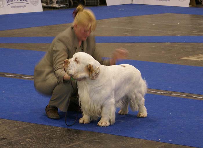 ClubShow_NexusSpiceTwiceVanguard