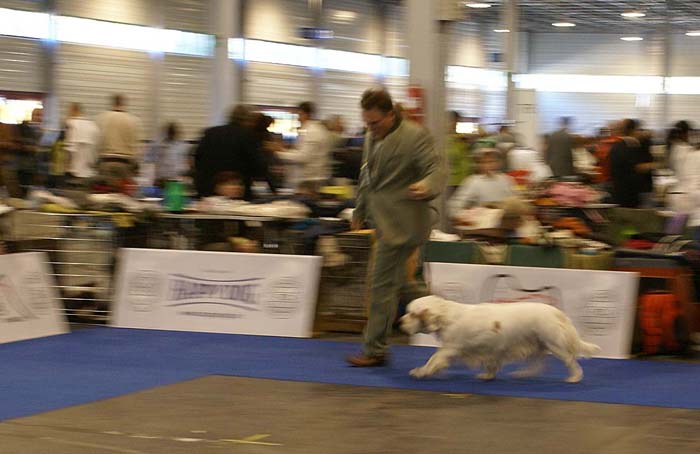 ClubShow_ST_Bohemia_Rapsodie