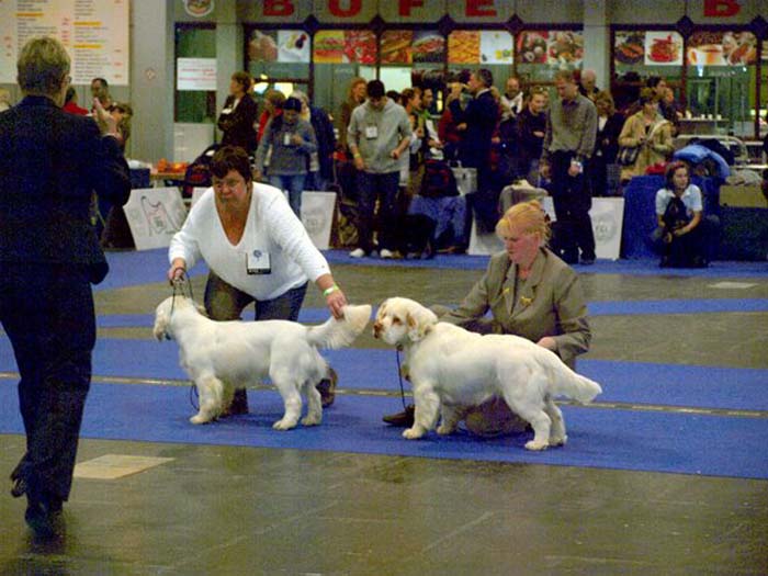 ClubShow_ST_SnowWay_YesOrSnow