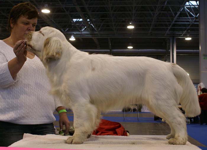 ClubShow_ST_SnowWay_c