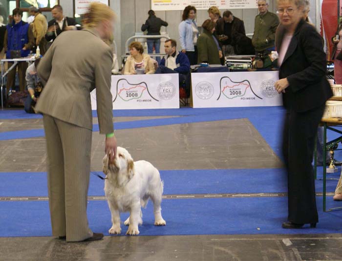 ClubShow_ST_YesOrSnow