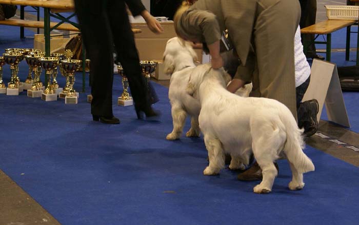 ClubShow_ST_YesOrSnow_SnowWay