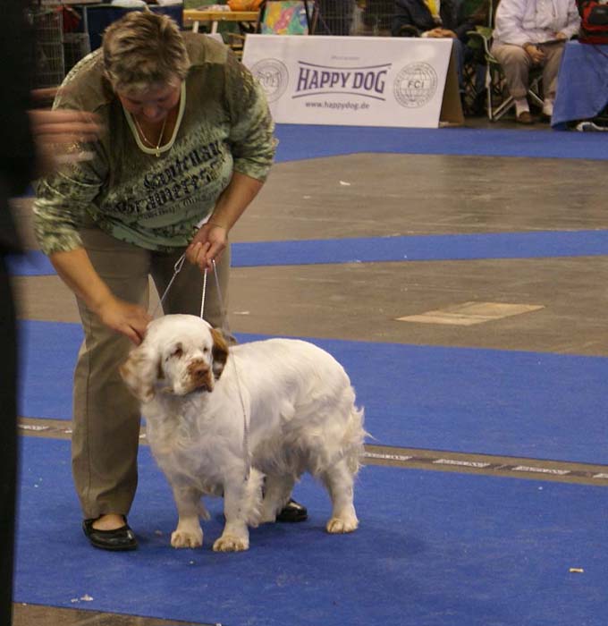 ClubShow_ShogunsBoobADoopGirl_b