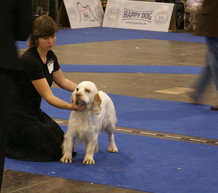 ClubShow_Traddles_Biddy_b