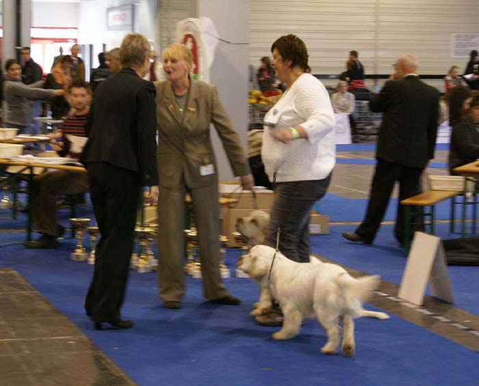 ClubShow_best_puppies