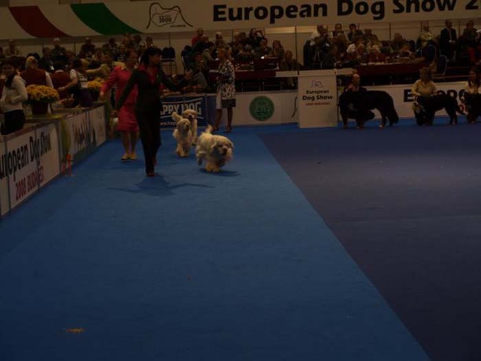 EUW_BIS4progeny_BelcrumBillyTheKid