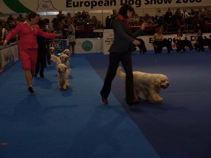 EUW_BIS4progeny_BelcrumBillyTheKid_b