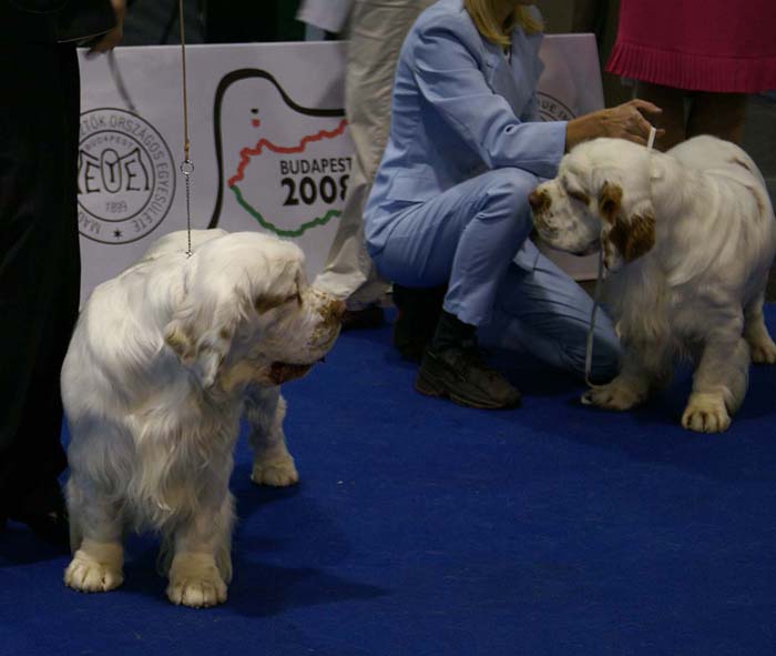 EUW_BadyanMedvediSmecka_BaileysMedvediSmecka