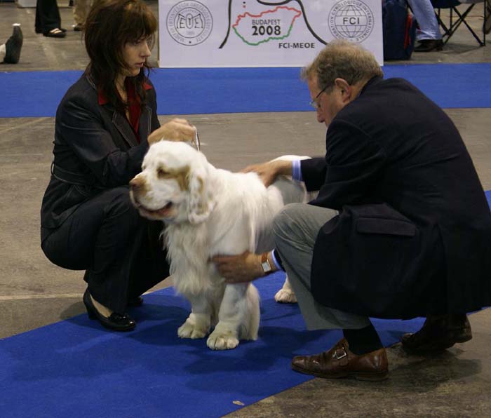 EUW_Badyan_Medvedi_Smecka