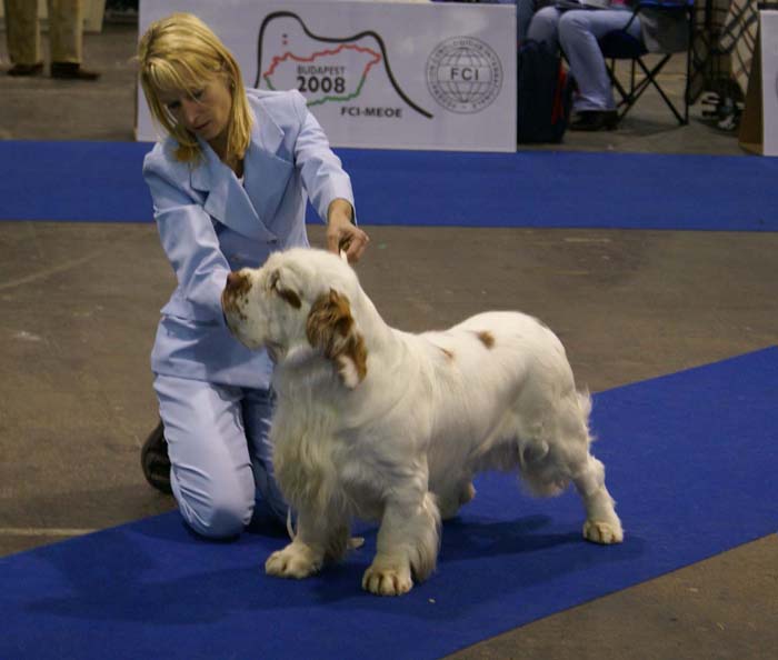 EUW_Baileys_Medvedi_Smecka_b