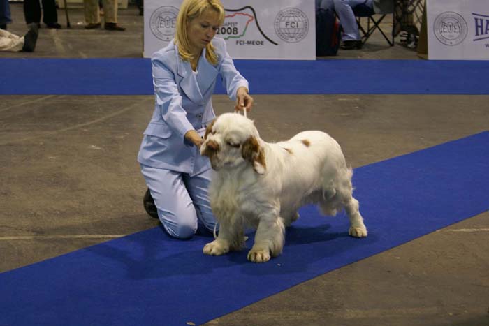 EUW_Baileys_Medvedi_Smecka_c