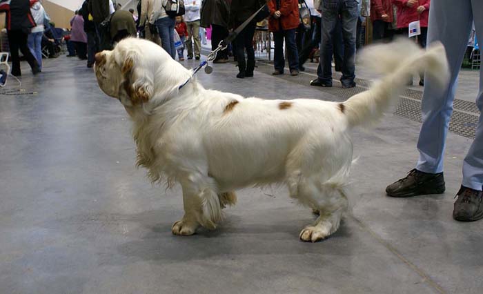 EUW_Baileys_Medvedi_Smecka_f