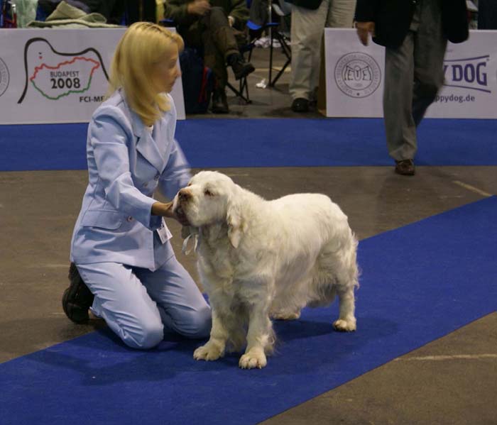 EUW_Blackwoods_Scarlet