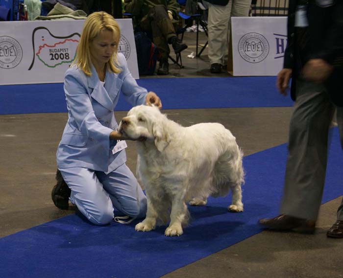 EUW_Blackwoods_Scarlet_b