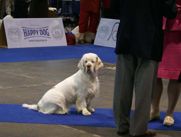 EUW_Bumbaa_Medvedi_Smecka