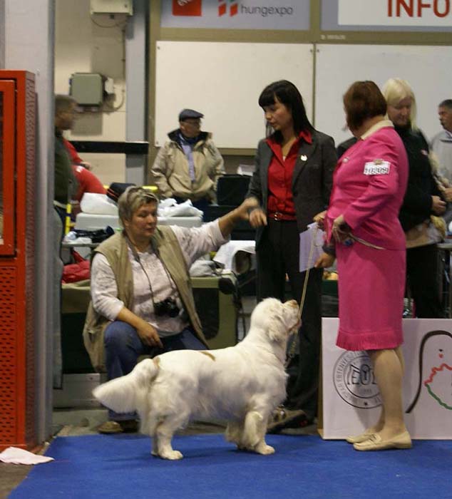 EUW_Bumbaa_Medvedi_Smecka_d