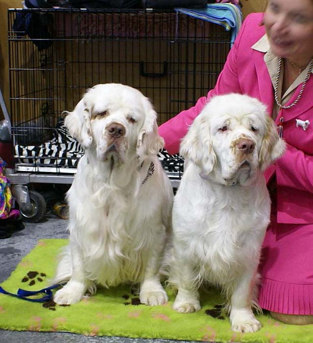 EUW_Bumbaa_with_her_dad_Dexter_e