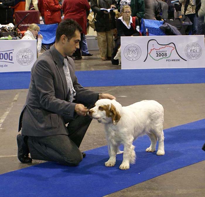 EUW_Chervoods_SnowMeadow