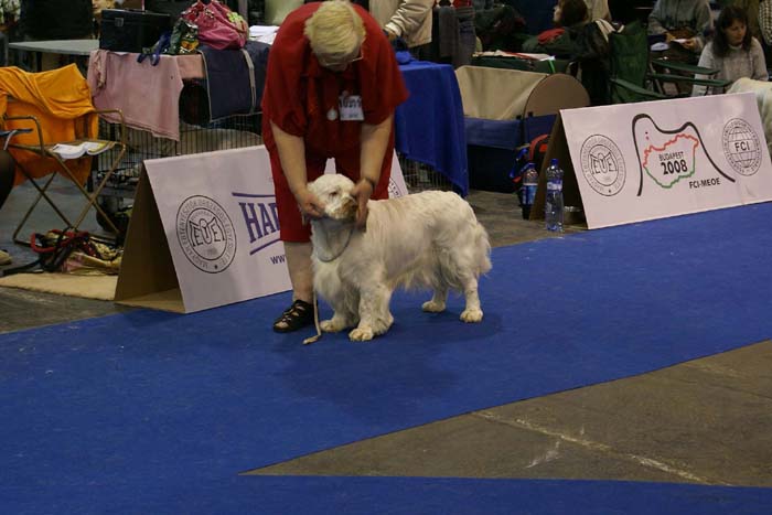 EUW_Chervoods_Snowdancer