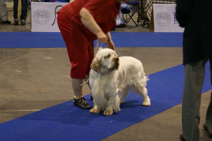 EUW_Chervoods_Snowjumper