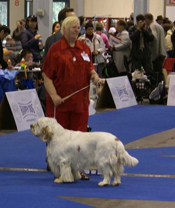 EUW_Chervoods_Snowjumper_b