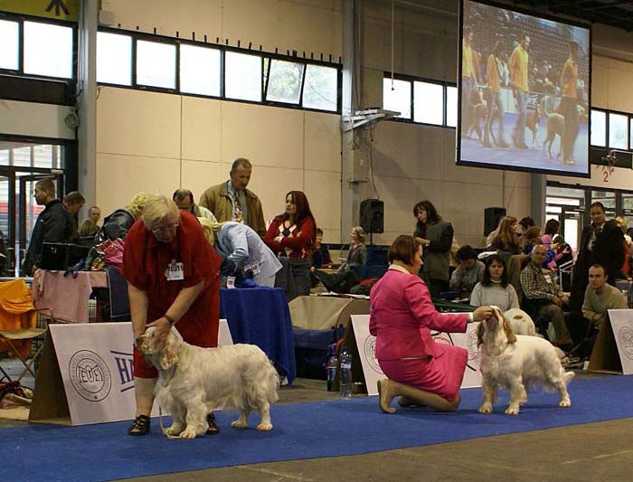 EUW_Chevood_SnowDancer_ST_Holy_Moly