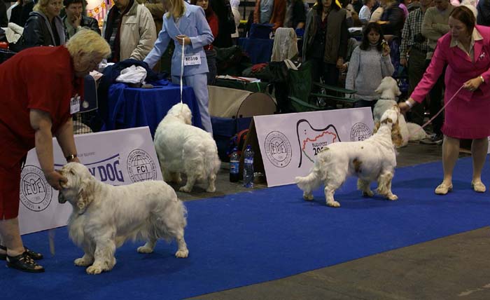 EUW_Chevood_SnowDancer_ST_Holy_Moly_b