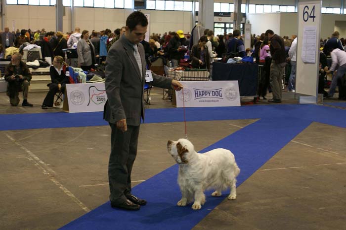 EUW_Chevoods_SnowSun