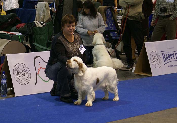 EUW_Dewy_Eyed_of_the_Sandy_Soil