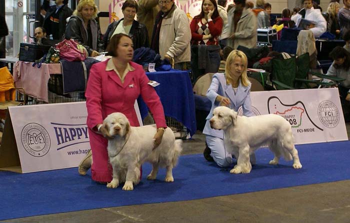 EUW_Intermediate_Bitches_b