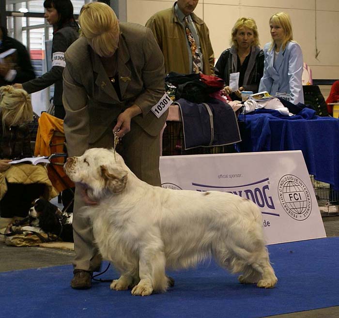 EUW_NexusSpiceTwiceVanguard_b