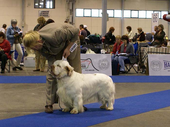 EUW_NexusSpiceTwiceVanguard_c