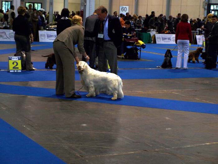 EUW_NexusSpiceTwiceVanguard_e