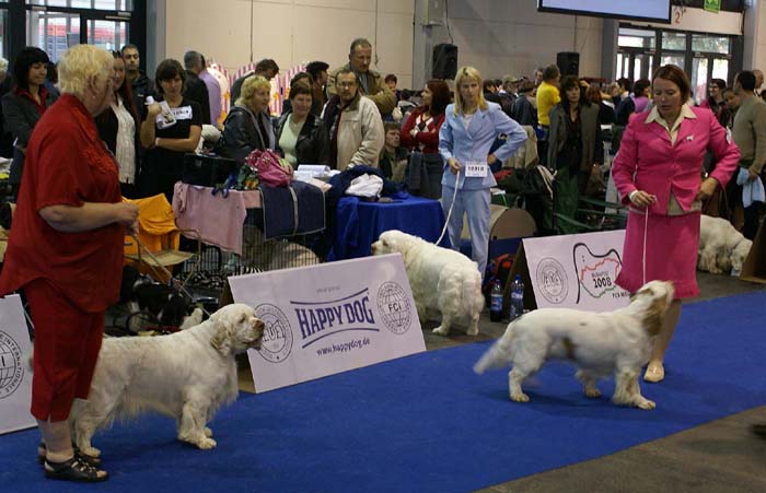 EUW_OpenClass_Bitches