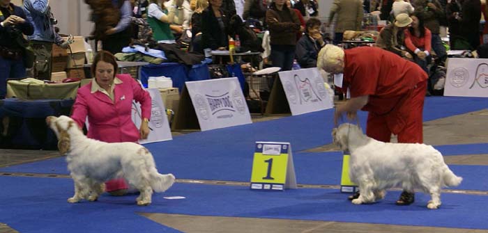 EUW_ST_Holy_Moly_Chervoods_Snowdancer