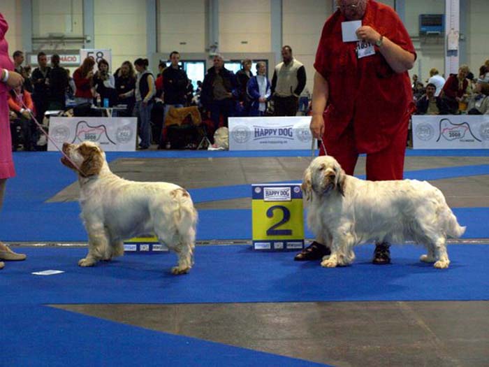 EUW_ST_Holy_Moly_Chervoods_Snowdancer_b