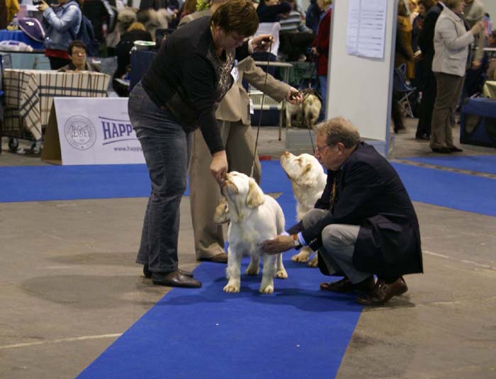 EUW_ST_SnowWay_YesOrSnow