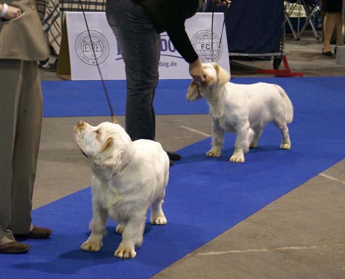 EUW_ST_YesOrSnow_SnowWay_b