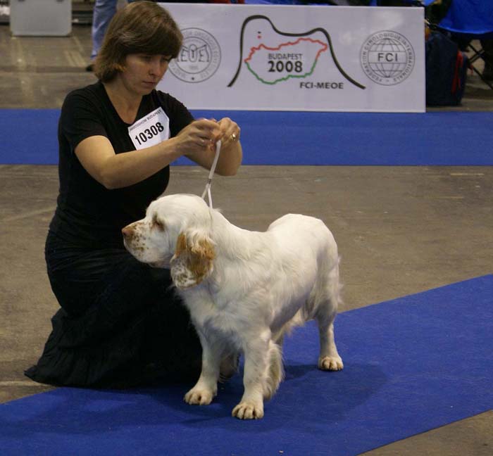 EUW_Traddles_Biddy_b