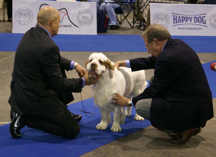 EUW_Vado_Recupero_e_Torno_Cowboy