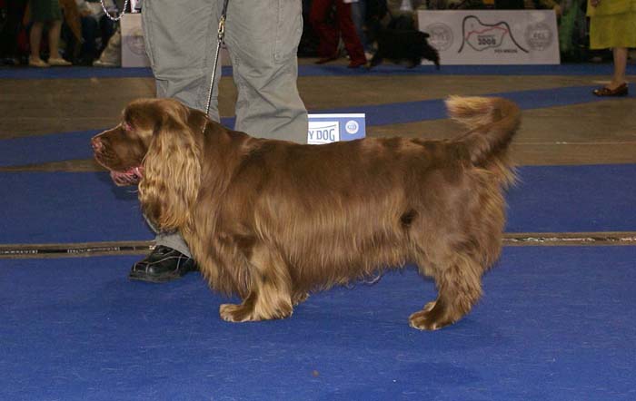 EUW_x_Sussex_BerlottanJazzFalcon