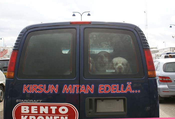 Travelling_to_Budapest