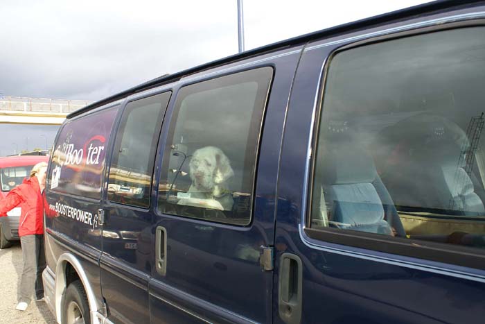 Travelling_to_Budapest_Bumbaa_c