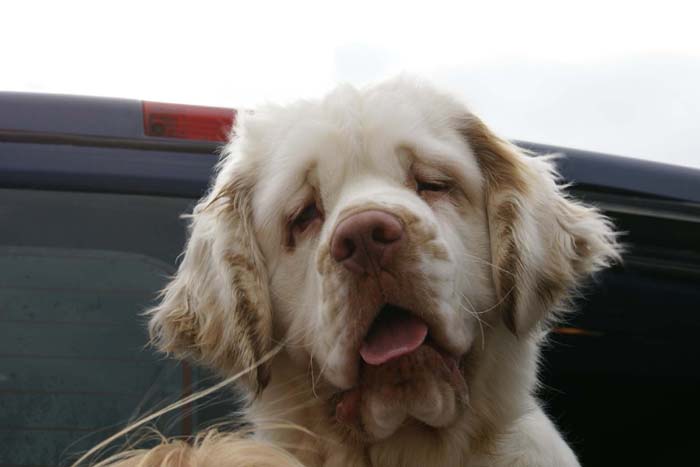 Travelling_to_Budapest_ST_YesOrSnow